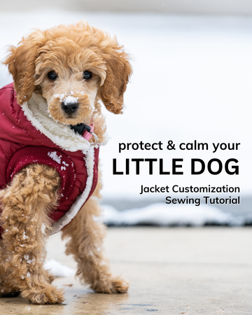 DIY Sewing Tutorial: Adding the eWell Puck to Your Dog's Jacket