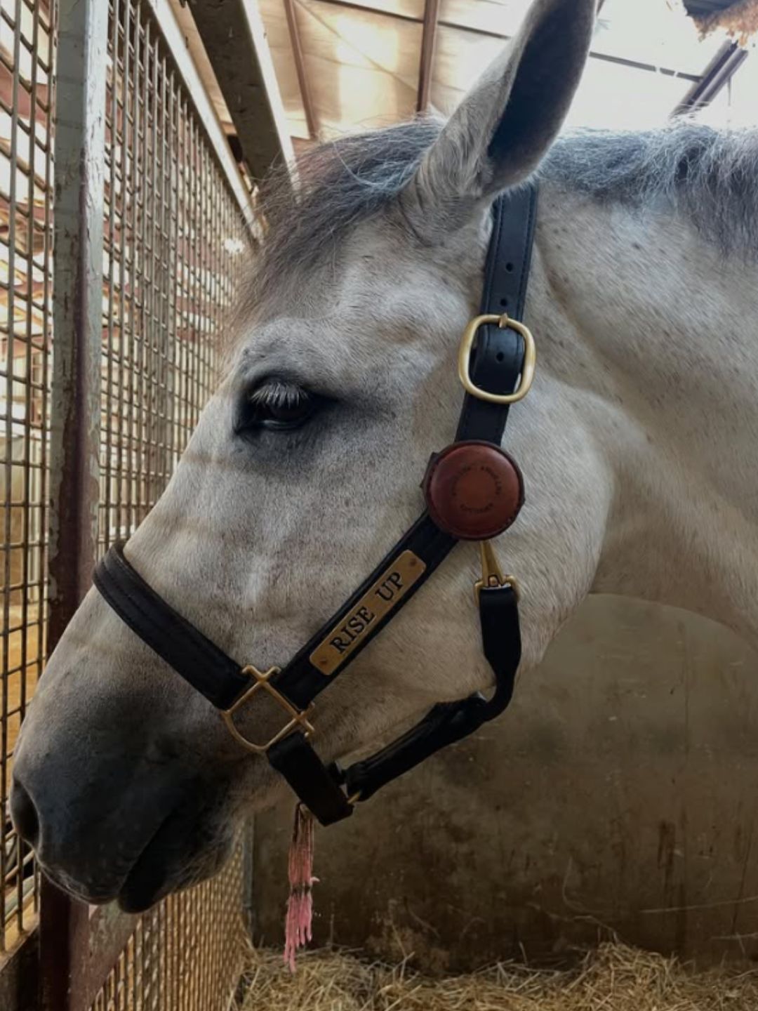 Centered and Confident — In and Out of the Ring
