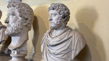 Visiting Rome with the eWell Puck