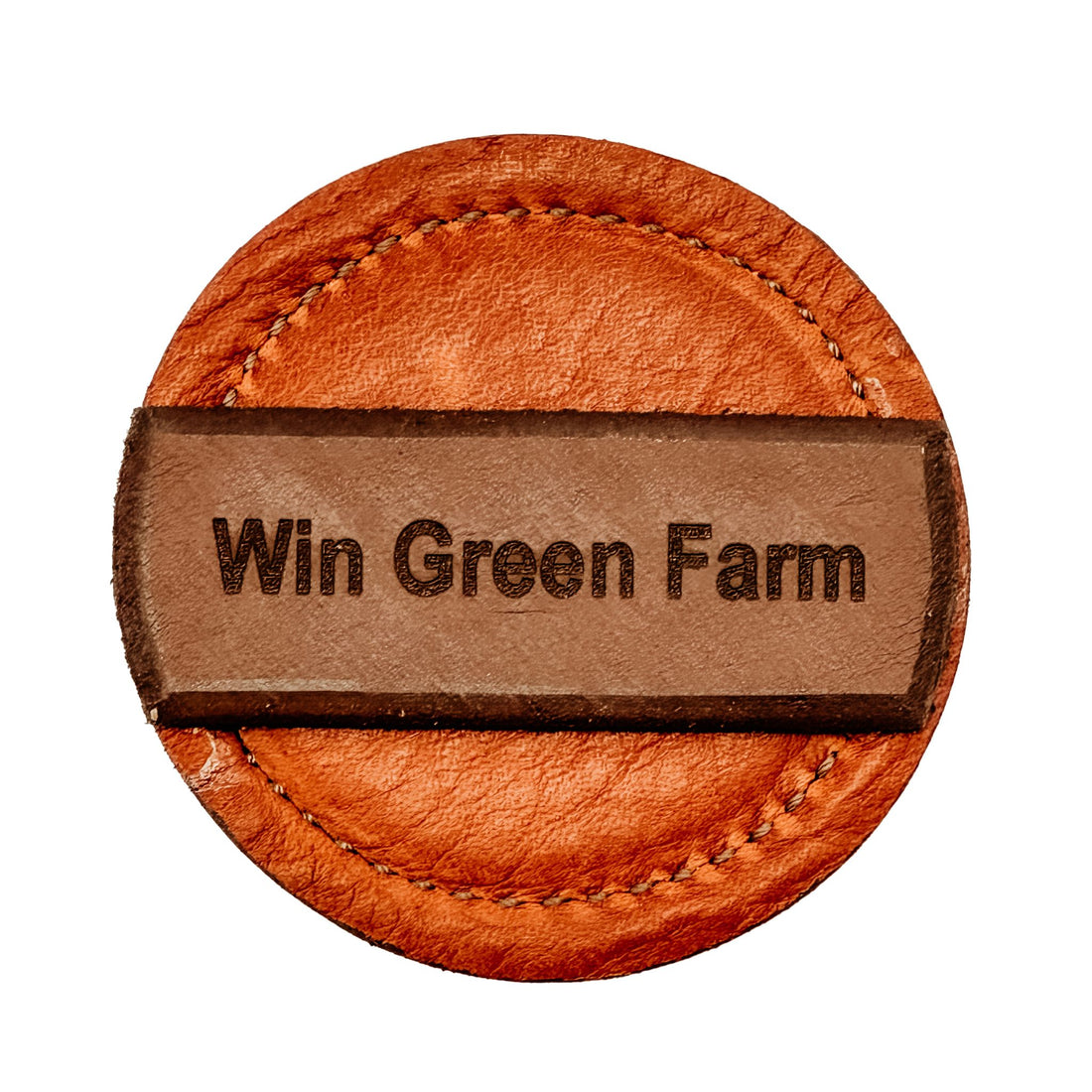 eWell Belt Puck