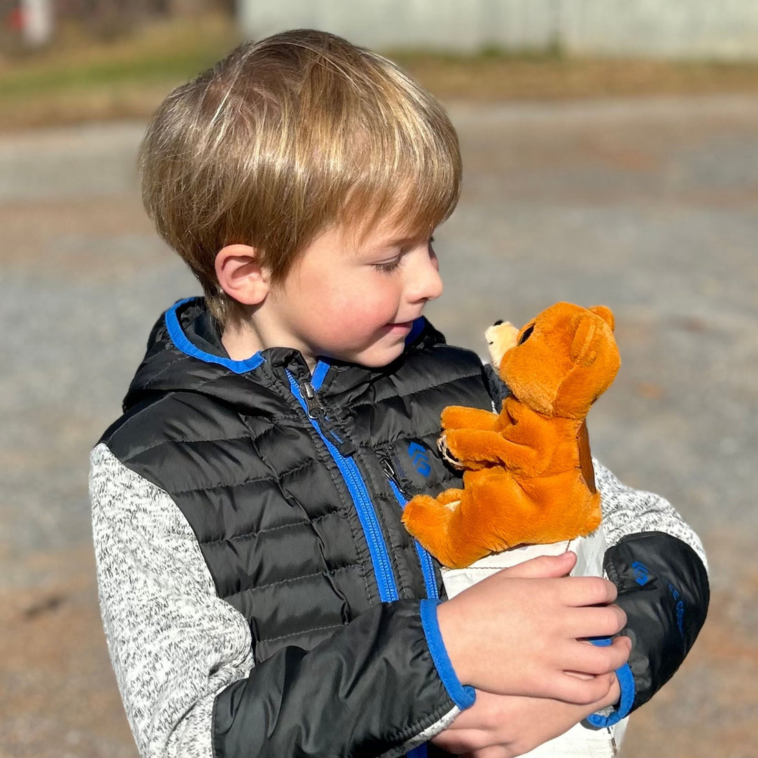 eWell Teddy Bears
