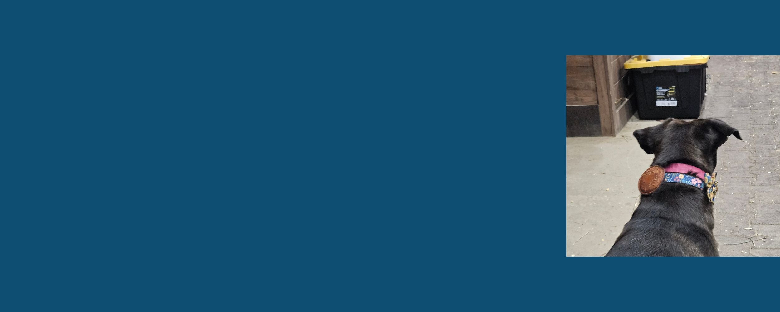 slider image slider_item_F4fGGx